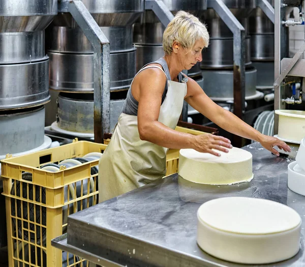 Genç Comte peynir süt formları koyarak Cheesemaker — Stok fotoğraf