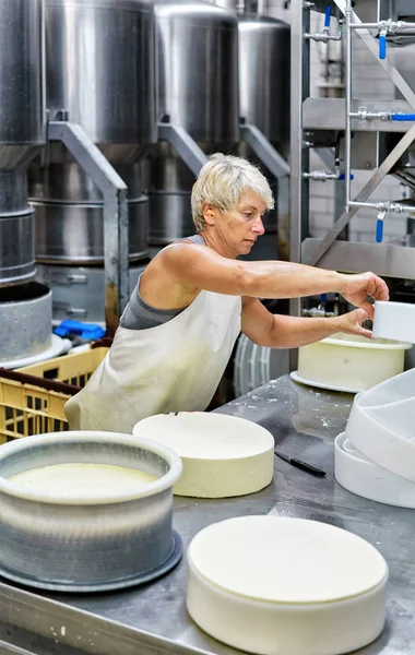 Cheesemaker colocando jovem queijo comte em formas em laticínios — Fotografia de Stock