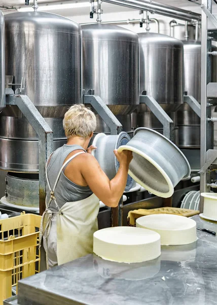 Caseificio che mette in forma il giovane Comte Cheese nei caseifici — Foto Stock