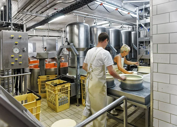 Käsemacher legen Gruyere de Comte in Form von Käse in die Molkerei — Stockfoto