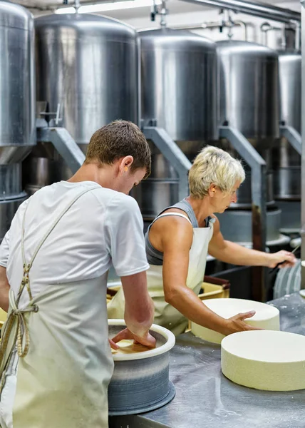 Queijeiros colocando jovens Gruyere Comte Queijo em formas em laticínios — Fotografia de Stock