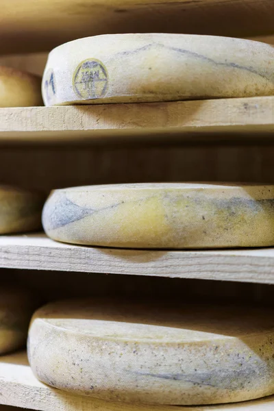 Comte yaşlanma mahzeni Franche süthane olgunlaşması içinde peynir — Stok fotoğraf