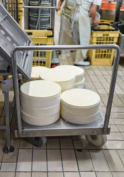 Sýr comte ve speciálních formách v mlékárně — Stock fotografie