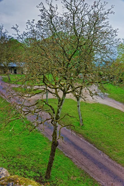 Cortile dell'Abbazia di Vezelay in Bourgogne Franche Comte in Francia — Foto Stock