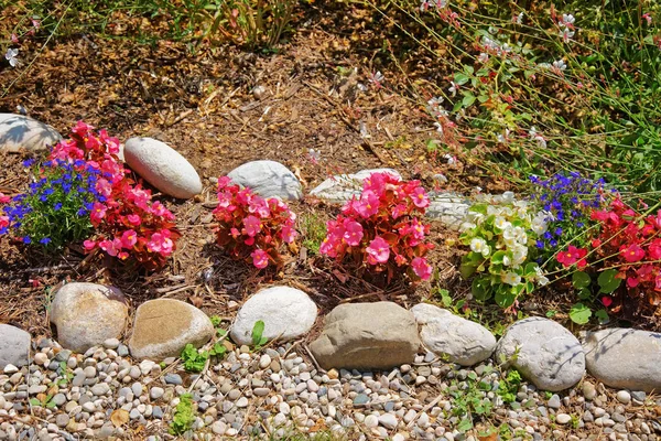 Dekoracyjne kwiaty na wewnętrznym dziedzińcu w Yverdon w Szwajcarii — Zdjęcie stockowe