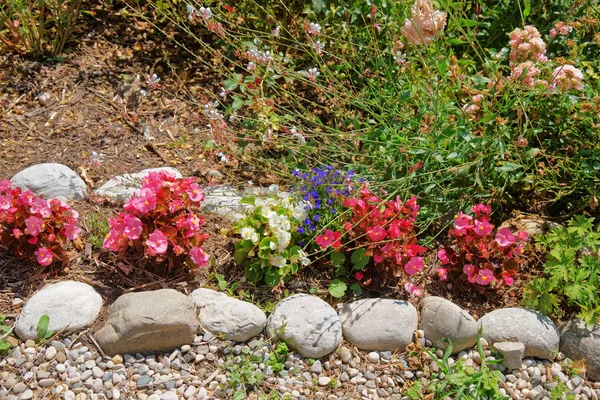 Yverdon İsviçre iç avlu, dekoratif çiçek
