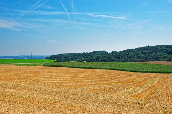 Lapangan di Yverdon di Jura Nord Vaudois Vaud Swiss — Stok Foto