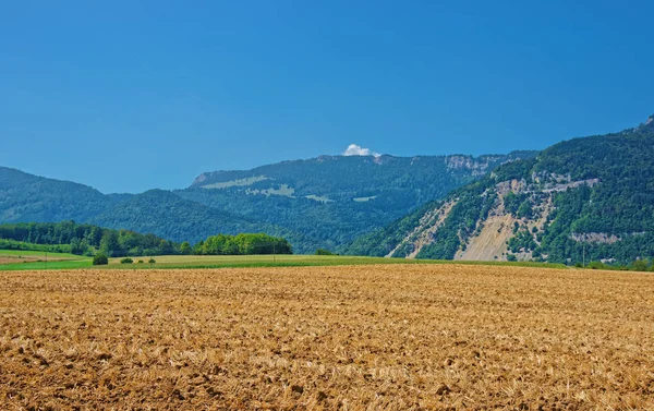 Fält i Yverdon på Jura Nord Vaudois Vaud Switzerland — Stockfoto