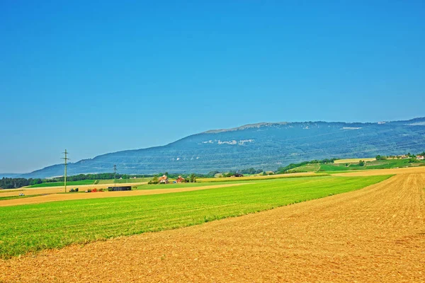 Field in Yverdon les Bains Jura Nord Vaudois Vaud Switzerland — Stockfoto