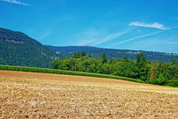 Fields at Yverdon les Bains Jura Nord Vaudois Vaud Switzerland — Stockfoto