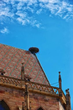 Yuva St Martin Kilisesi Alsace Fransa Colmar