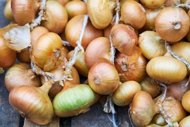 soğan doku arka plan