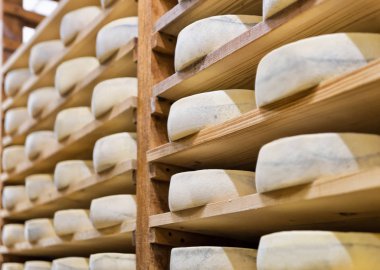 Kiler süthane Franche Comte olgunlaşması peynir yaşlanma kazık