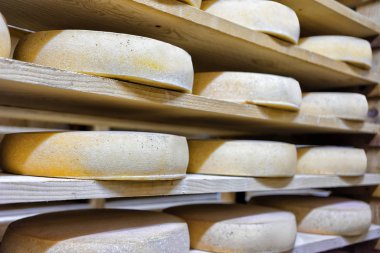 Kiler Franche Comte süt olgunlaşma peynir yaşlanma kazık