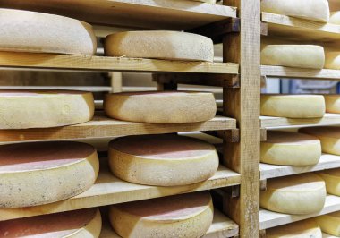 Kiler Franche Comte süt olgunlaşması peynir yaşlanma raf