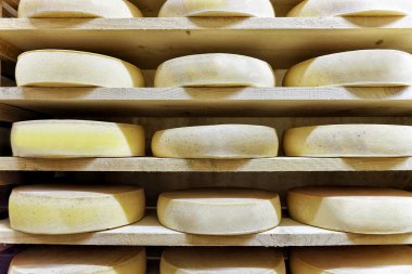 Comte peynir mahzeni Franche Comte olgunlaşması yaşlanma raf