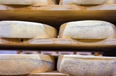 Peynir olgunlaşma içinde yaşlanma satır Franche Comte süthane cellars