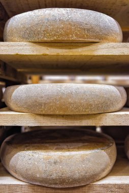 Peynir olgunlaşma içinde yaşlanma satır Franche Comte süt cellars