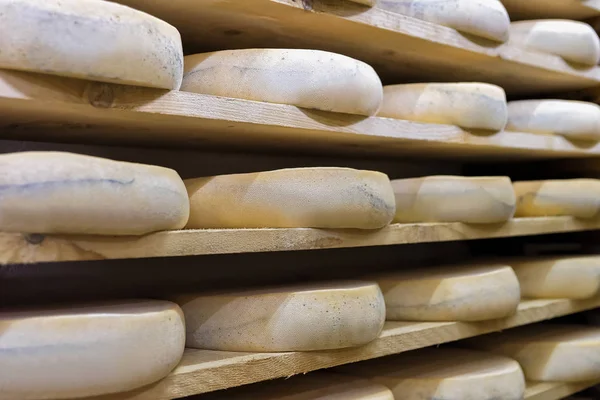 成熟のセラー フランシュ = コンテ チーズを老化の山 — ストック写真