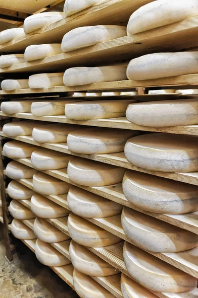 成熟セラー フランシュ = コンテ乳製品チーズを老化の山 — ストック写真