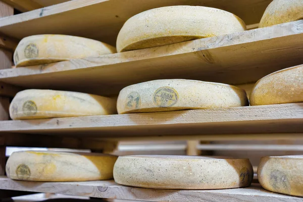 セラー乳製品フランシュ = コンテを登熟でチーズの熟成の山 — ストック写真