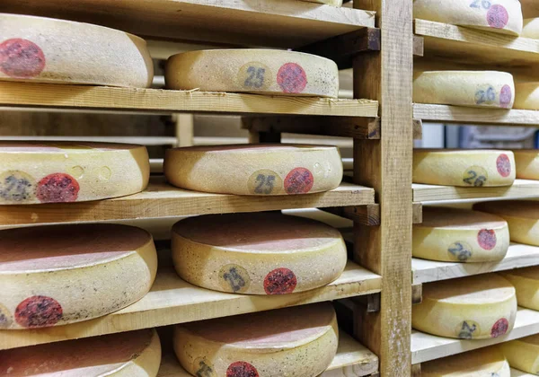 Rack de envelhecimento Queijo em adega de maturação Franche Comte laticínios — Fotografia de Stock