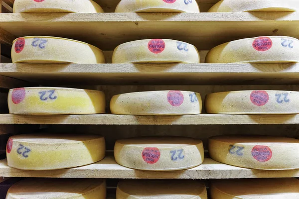 Rack of aging Comte Cheese in maturing cellar Franche Comte
