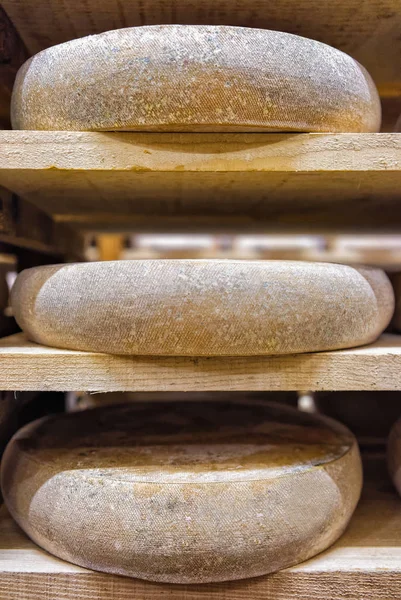 Rij van veroudering kaas in het rijpen kelders Franche Comte zuivel — Stockfoto