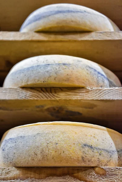 Rijen van veroudering kaas in rijping kelder Franche Comte — Stockfoto