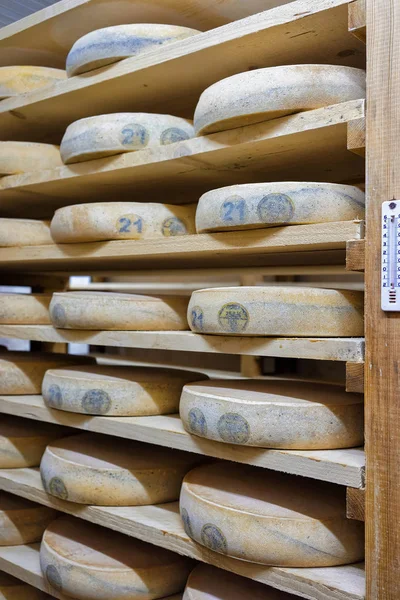 フランシュ = コンテのセラーを登熟でチーズの熟成の棚 — ストック写真