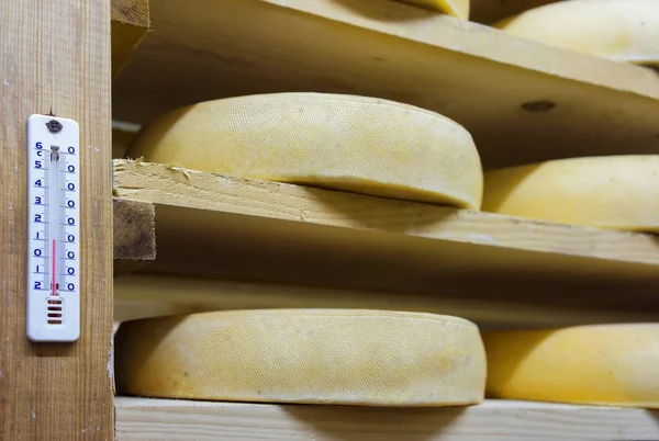 セラー フランシュ = コンテの成熟でチーズの熟成の棚 — ストック写真