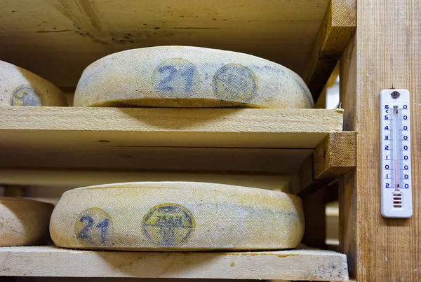 Полки для выдержки сыра в спелых подвалах сливок Франче Конт — стоковое фото