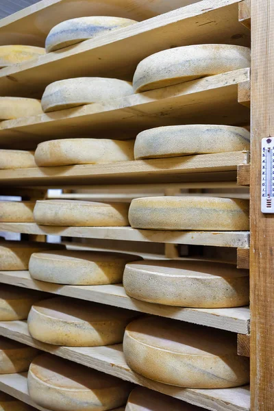 追熟でチーズの熟成の棚ワインセラー酪農フランシュ = コンテ — ストック写真