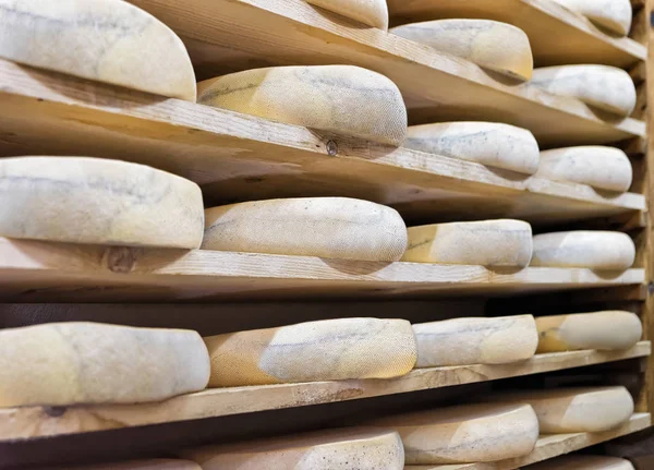 成熟のセラー フランシュ = コンテ チーズを老化のスタック — ストック写真