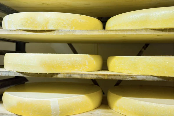 Stapel gereifter Käse im Reifekeller Franche Comte Creamery — Stockfoto