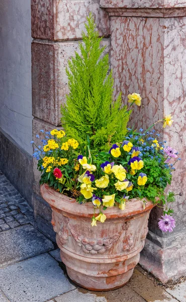 Canteiro de flores de rua com flores em flor em Munique Alemanha — Fotografia de Stock