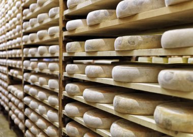 Peynir Franche Comte mahzende olgunlaşma yaşlanma tekerlekler