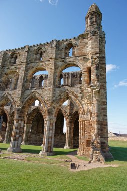 İngiltere'nin North Yorkshire'deki / daki Whitby Abbey