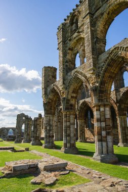 Whitby Abbey Kuzey Yorkshire İngiltere'de