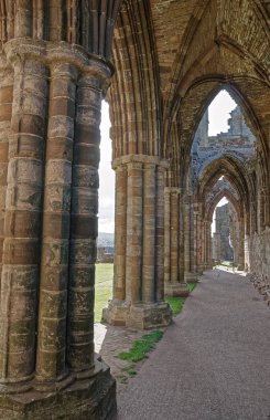 Whitby Abbey, İngiltere'de North Yorkshire