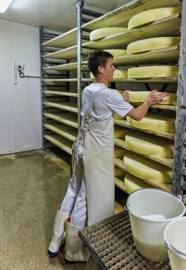 Kiler Conte peynir süt ürünleri yaşlanma ile olgunlaşma içinde alt