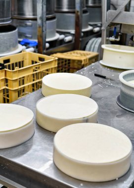 Özel formlara süt genç Gruyere Comte peynir preslenmiş