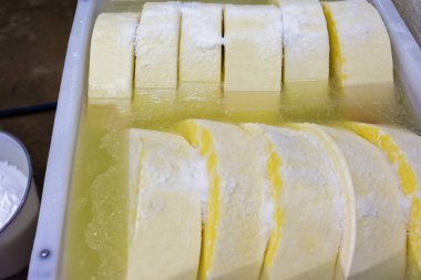 Genç Gruyere Comte peynir, banyo tuz Burgundy ile