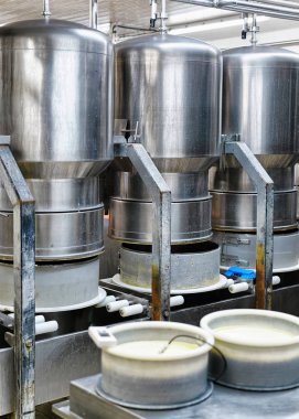 Genç Gruyere Comte peynir süt, özel formları içine preslenmiş