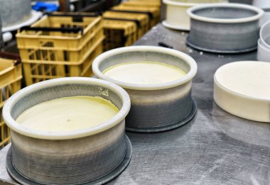 Özel formlara süt içine genç Gruyere Comte peynir preslenmiş