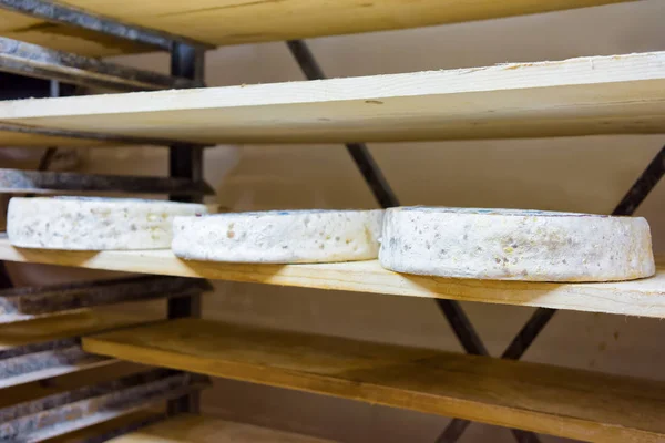 Wielen van veroudering kaas op rijpen kelder Franche Comte — Stockfoto