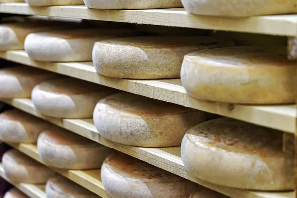 Колёса стареющего сыра в созревающем подвале сливочного завода Franche Comte — стоковое фото