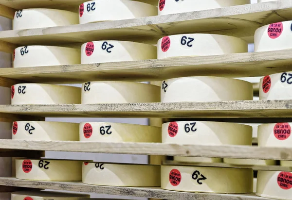 Rodas de queijo jovem na adega de maturação Franche Comte — Fotografia de Stock