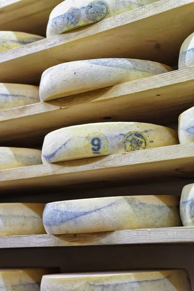 Колёса стареющего сыра в созревающем подвале Franche Comte — стоковое фото