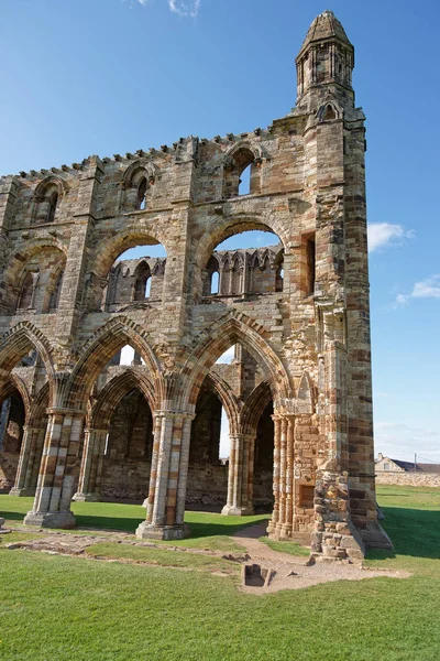 İngiltere'nin North Yorkshire'deki / daki Whitby Abbey